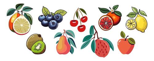 Hand drawn abstract fruits and berries set. vector