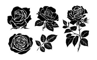 Black silhouettes of fresh blossoming rose . vector