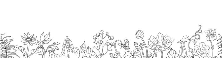 Seamless border with spring flowers line drawing. vector