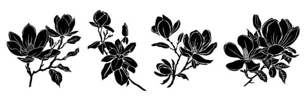 Set of Black silhouette of magnolia flower . vector