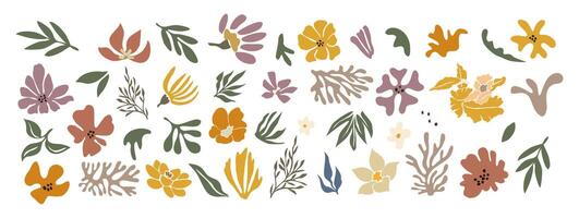A collection of flowers and leaves in various colors and sizes. Concept of nature and beauty, with the flowers and leaves representing the diversity and vibrancy of the natural world vector