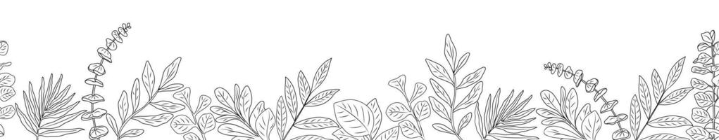 Border with eucalyptus line art drawing. vector