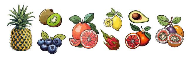 Set of different fruits isolated on white. vector