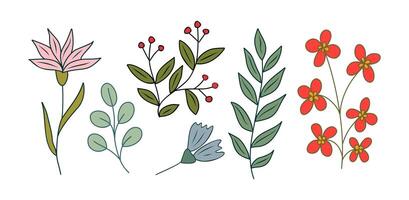 Set of tiny wild flowers and plants colored vector