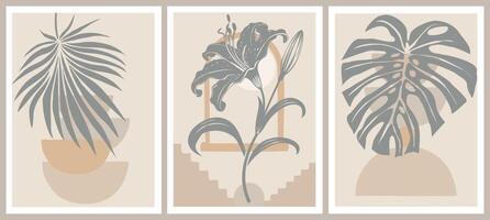 Set of Boho aesthetic abstract botanical wall arts vector