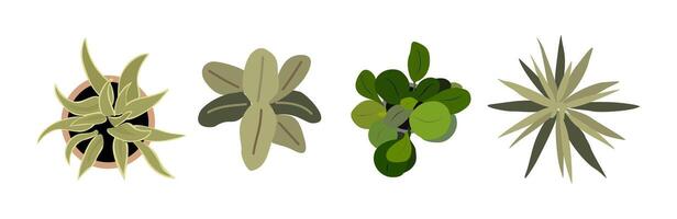 Set of different potted house plants top view. vector