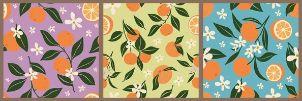 Set of seamless patterns with orange fruits. vector