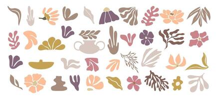 Set of hand drawn floral design elements. vector