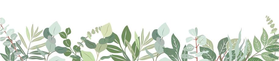 Art Border made from Eucalyptus branches, leaves. vector