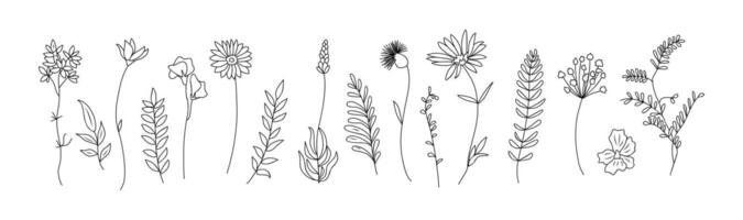 Set of tiny wild flowers and plants line art. vector