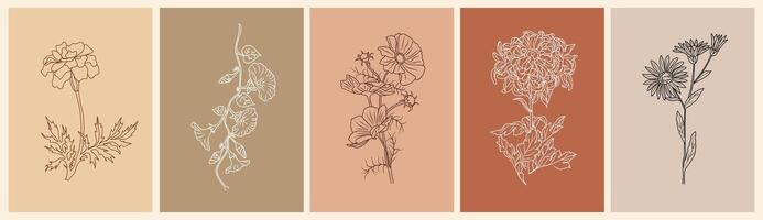 Set of botanical line art floral drawings. vector