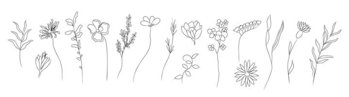 Set of tiny wild flowers and plants line art vector