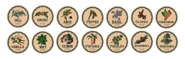 set of spices food label with herbs sketch. vector