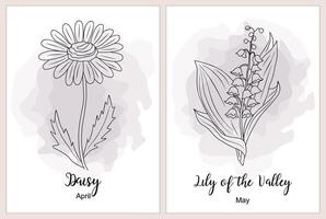 Daisy and Lily of the Valley botanical line art. vector