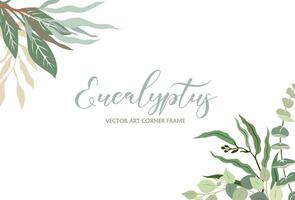 Corner frame with green leaves of eucalyptus. vector