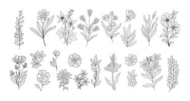 Set of tiny wild flowers and plants line art. vector