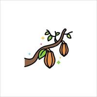 Cocoa fruit icon vector