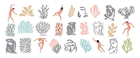 Set of abstract elements in Matisse inspired style vector