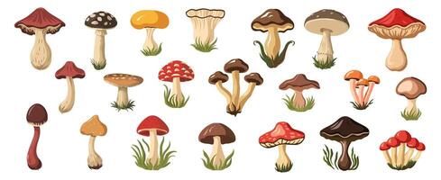 Forest mushrooms colorful hand drawn set. vector