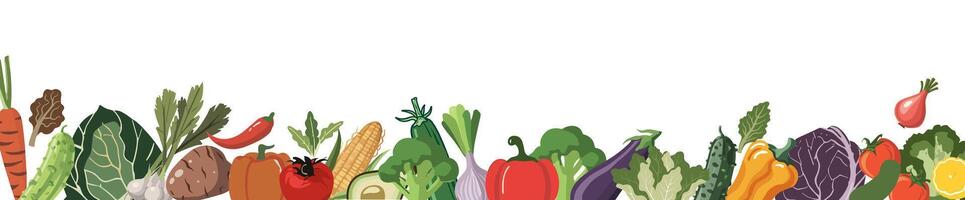 Horizontal border consisted of fresh vegetable art vector