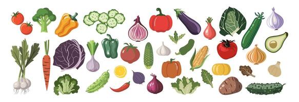 Set of different vegetables icons isolated. vector