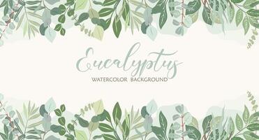 Border frame with green leaves of eucalyptus. vector