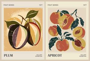 Set of Abstract Fruit Market retro posters. vector