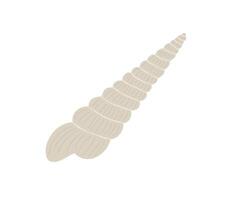 The white sharp shell is drawn in a flat style. Sea, coast, beach. Hand drawn illustration. vector