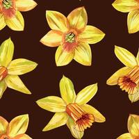 Yellow daffodils of different shapes, hand-painted in watercolor. Seamless watercolor pattern with daffodils on a dark brown background. For printing on cards, invitations, March 8, spring products vector