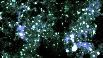 Abstract Animated Background Of Moving Particles 05. video