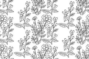 Botanical Line art abstract seamless plant pattern with wildflowers illustration.Black and white outline repeating floral print. Graphic design for Wallpaper Wedding Cover Wrapping Textile vector