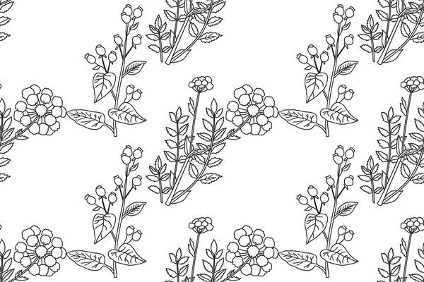 Botanical Line art abstract seamless plant pattern with wildflowers illustration.Black and white outline repeating floral print. Graphic design for Wallpaper Wedding Cover Wrapping pack Textile