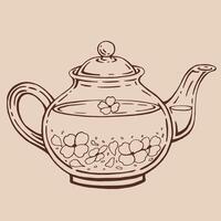Teapot of tea with jasmine. Hand drawn illustration in outline style. vector