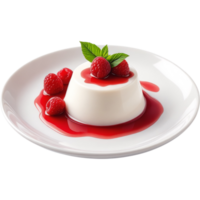 Panna Cotta with Raspberry Coulis and Fresh Mint png