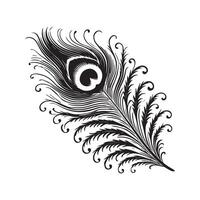 a black and white drawing of a peacock feather vector