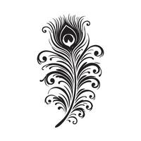 a black and white peacock feather on a white background vector