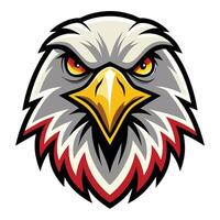 an eagle head with red and white feathers illustration and art vector