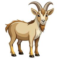 goat on white background vector