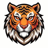 a tiger is shown on a white background vector