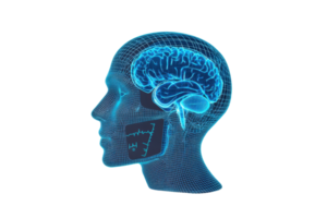 A digital representation of a human head in profile, highlighting the brain with a wireframe design. png