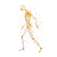 A stylized human figure composed of interconnected lines and glowing nodes, depicting a dynamic walking motion. png