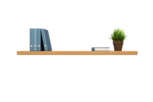 A wooden shelf displaying several books and a potted plant, creating a simple yet modern decorative arrangement. png