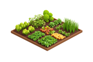 A vibrant garden plot featuring a variety of fresh vegetables and herbs arranged in neat sections. png