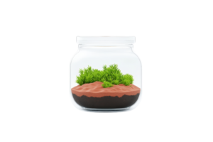A glass jar contains layers of soil and vibrant green moss, creating a miniature ecosystem. png