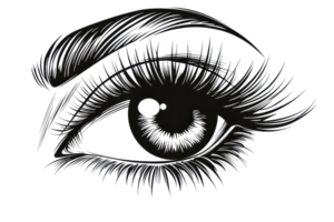 Detailed illustration of a human eye. Black and white sketch highlighting eyelashes, iris, and eyebrow for artistic design concepts. png