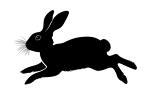 Silhouette of a leaping rabbit holding a flower in its mouth, showcasing elegance and grace, perfect for nature and wildlife themes. png