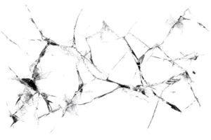 Intricate network of ice crystals on a transparent surface, showcasing delicate patterns and natural beauty in close-up view. png