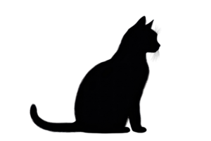silhouet van een zittend kat tegen een transparant achtergrond, vastleggen de katachtigen bevallig houding en mysterieus charme. png