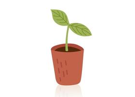 Green seedling in the pot isolated on white background. vector