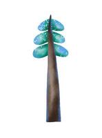 Firs, spruce. Evergreen trees hand drawn on isolate vector